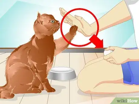 Image titled Teach a Cat to "High Five" Step 18